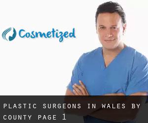 Plastic Surgeons in Wales by County - page 1