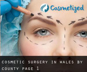 Cosmetic Surgery in Wales by County - page 1