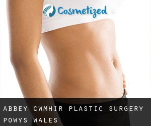Abbey-Cwmhir plastic surgery (Powys, Wales)