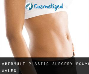 Abermule plastic surgery (Powys, Wales)