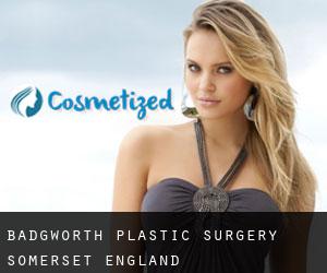 Badgworth plastic surgery (Somerset, England)