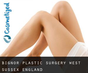 Bignor plastic surgery (West Sussex, England)