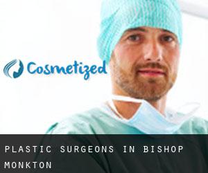 Plastic Surgeons in Bishop Monkton