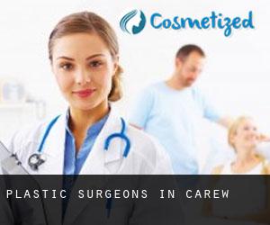 Plastic Surgeons in Carew
