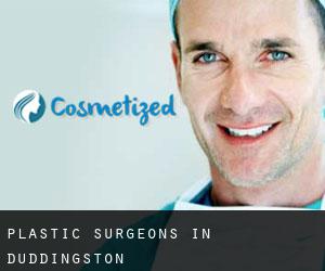 Plastic Surgeons in Duddingston