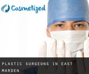 Plastic Surgeons in East Marden