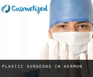 Plastic Surgeons in Hermon