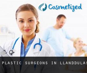 Plastic Surgeons in Llanddulas