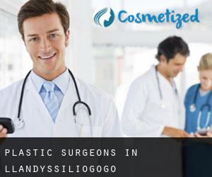 Plastic Surgeons in Llandyssiliogogo