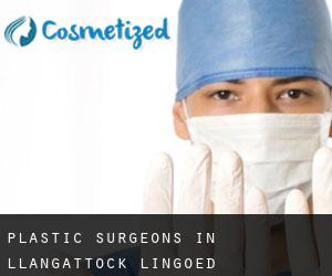 Plastic Surgeons in Llangattock Lingoed