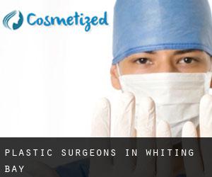 Plastic Surgeons in Whiting Bay