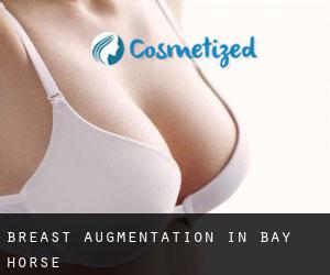 Breast Augmentation in Bay Horse