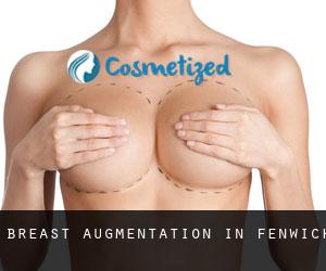 Breast Augmentation in Fenwick