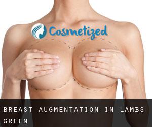 Breast Augmentation in Lambs Green
