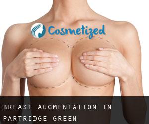 Breast Augmentation in Partridge Green