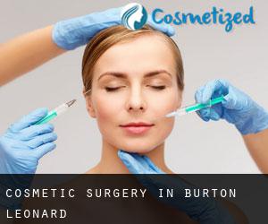 Cosmetic Surgery in Burton Leonard