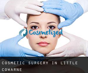 Cosmetic Surgery in Little Cowarne