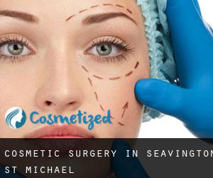 Cosmetic Surgery in Seavington st. Michael
