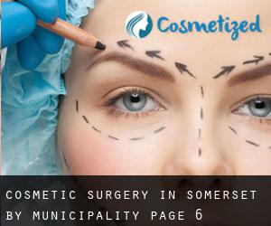 Cosmetic Surgery in Somerset by municipality - page 6