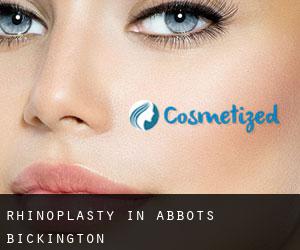 Rhinoplasty in Abbots Bickington Rhinoplasty in Abbots Bickington