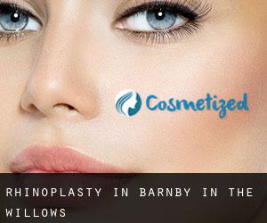 Rhinoplasty in Barnby in the Willows