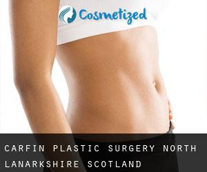 Carfin plastic surgery (North Lanarkshire, Scotland)