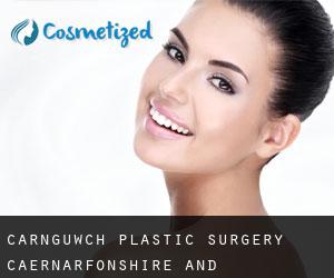 Carnguwch plastic surgery (Caernarfonshire and Merionethshire, Wales)