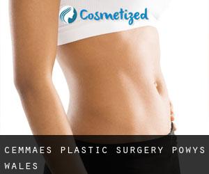 Cemmaes plastic surgery (Powys, Wales)