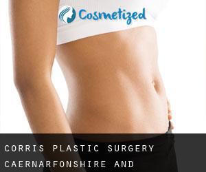 Corris plastic surgery (Caernarfonshire and Merionethshire, Wales)