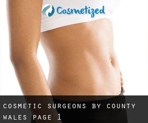 cosmetic surgeons by County (Wales) - page 1
