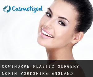 Cowthorpe plastic surgery (North Yorkshire, England)