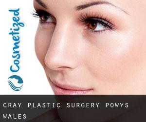 Cray plastic surgery (Powys, Wales)