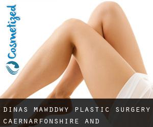 Dinas Mawddwy plastic surgery (Caernarfonshire and Merionethshire, Wales)