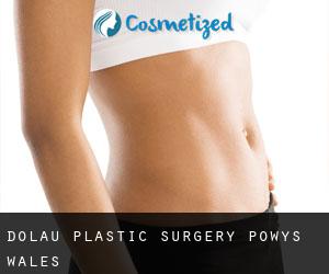 Dolau plastic surgery (Powys, Wales)