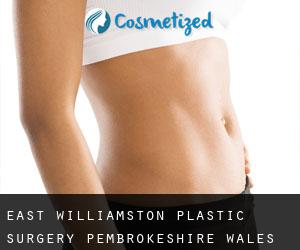 East Williamston plastic surgery (Pembrokeshire, Wales)
