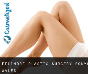 Felindre plastic surgery (Powys, Wales)