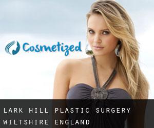 Lark Hill plastic surgery (Wiltshire, England)
