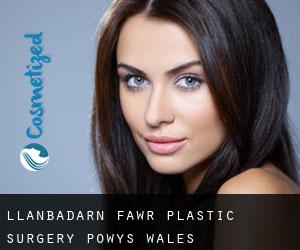 Llanbadarn-fawr plastic surgery (Powys, Wales)