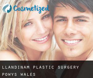 Llandinam plastic surgery (Powys, Wales)