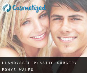 Llandyssil plastic surgery (Powys, Wales)