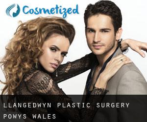 Llangedwyn plastic surgery (Powys, Wales)