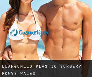 Llangunllo plastic surgery (Powys, Wales)