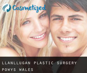 Llanllugan plastic surgery (Powys, Wales)