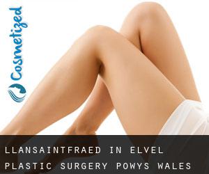 Llansaintfraed in Elvel plastic surgery (Powys, Wales)