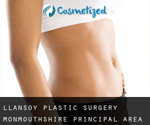 Llansoy plastic surgery (Monmouthshire principal area, Wales)