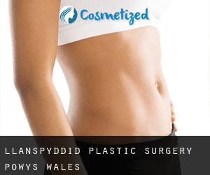Llanspyddid plastic surgery (Powys, Wales)