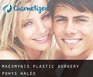 Maesmynis plastic surgery (Powys, Wales)