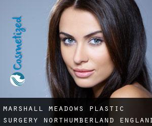 Marshall Meadows plastic surgery (Northumberland, England)