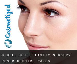 Middle Mill plastic surgery (Pembrokeshire, Wales)