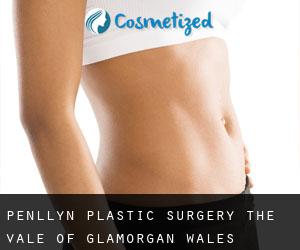 Penllyn plastic surgery (The Vale of Glamorgan, Wales)